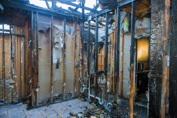Professional Fire Damage Removal technician working in Driggs, ID
